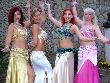 Isys Bellydance Fantasy