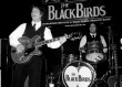 The Black Birds